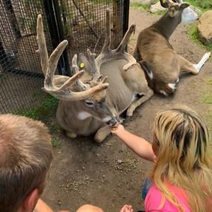 Meet your Posher, Josh